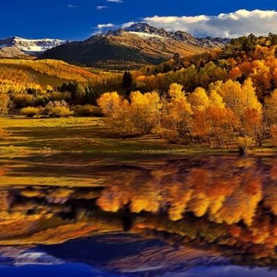 博盈体育软件下载官网